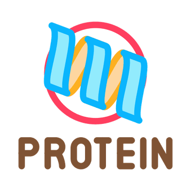 Good source of protein